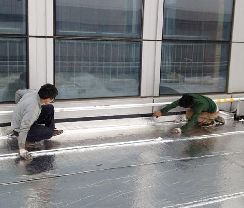 �ɹ����� ���϶����� ��˾��I�ٷ��Wվ���O��ͬ